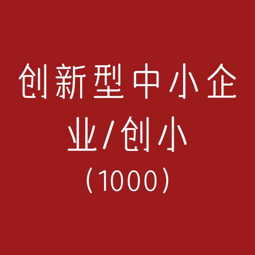 创新型中小企业/创小咨询(咨询服务)